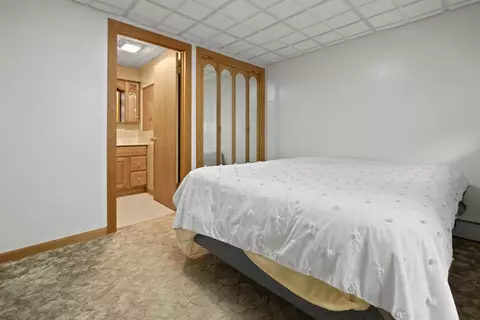 213 Kohl Ave, Spring Grove, IL 60081 photo 26