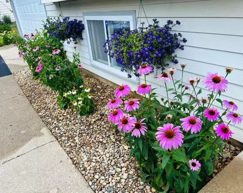 Exterior - 1218 Goodview Ave, Johnsburg, IL 60051 photo 6 of 6