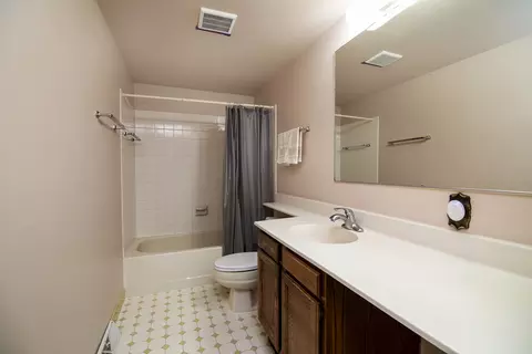 Bath - 7113 W Bruns Rd, Monee, IL 60449 photo 2 of 2