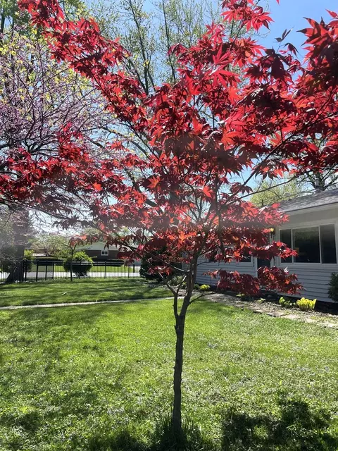 2103 Rodney Dr, Champaign, IL 61821 photo 9