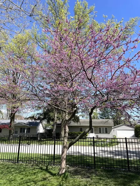 2103 Rodney Dr, Champaign, IL 61821 photo 8