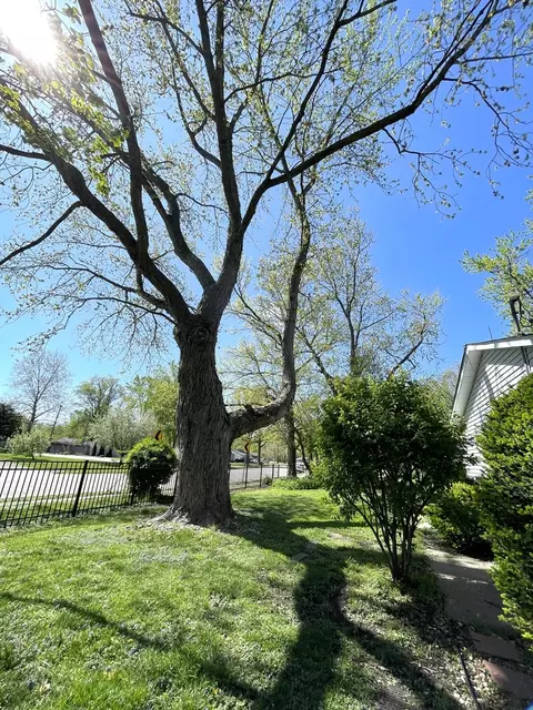 2103 Rodney Dr, Champaign, IL 61821 photo 6