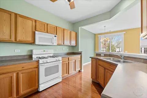 2462 Rolling Ridge Ln, Elgin, IL 60124 photo 8