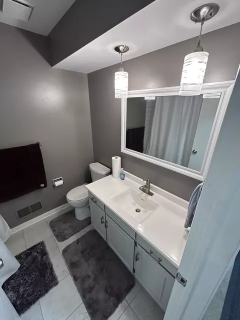 Bath - 209 E Irving Park Rd #1N, Itasca, IL 60143 photo 1 of 4