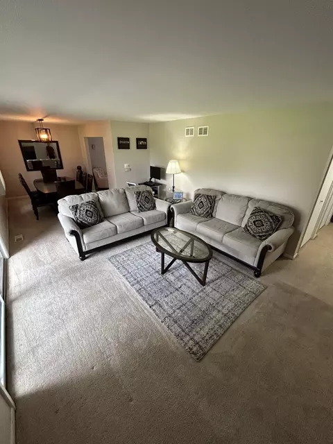 Living - 209 E Irving Park Rd #1N, Itasca, IL 60143 photo 1 of 2