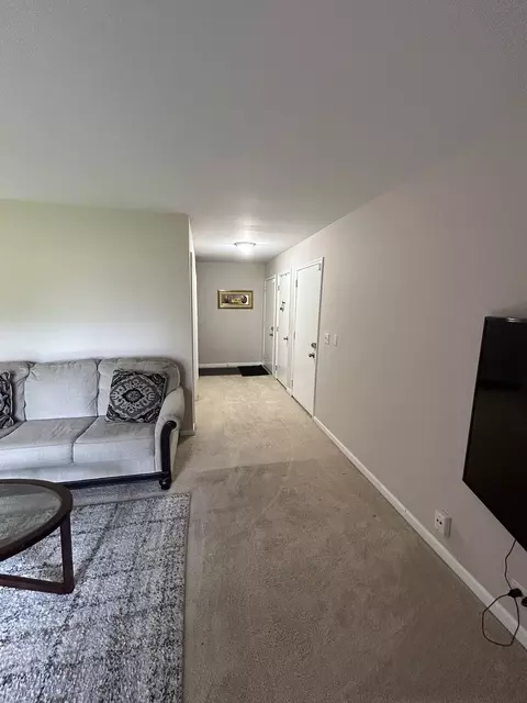 Entry Way - 209 E Irving Park Rd #1N, Itasca, IL 60143 photo 2 of 3