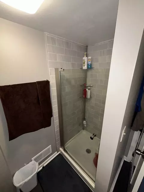 Bath - 209 E Irving Park Rd #1N, Itasca, IL 60143 photo 4 of 4