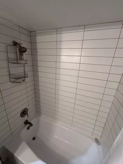 Bath - 209 E Irving Park Rd #1N, Itasca, IL 60143 photo 2 of 4