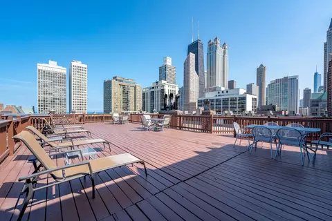 20 E Cedar St #6E, Chicago, IL 60611 photo 33