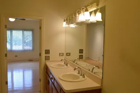 Bath - 15963 Waterfront Cir, Plainfield, IL 60544 photo 3 of 5