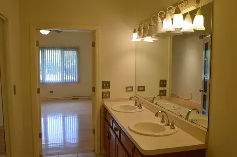 Bath - 15963 Waterfront Cir, Plainfield, IL 60544 photo 4 of 5