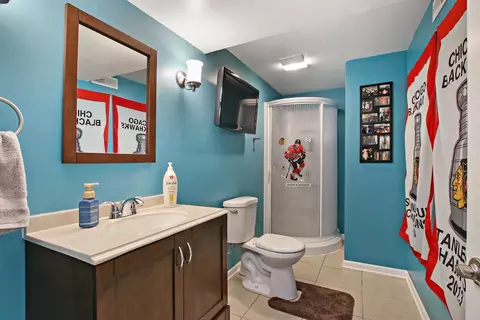 287 Windsor Dr, Bartlett, IL 60103 photo 27