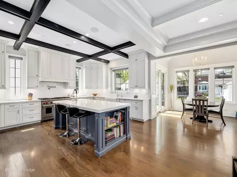 Kitchen - 554 Forest Ave, River Forest, IL 60305 photo 7 of 10