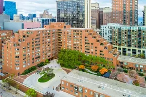 801 S Plymouth Ct #P51, Chicago, IL 60605