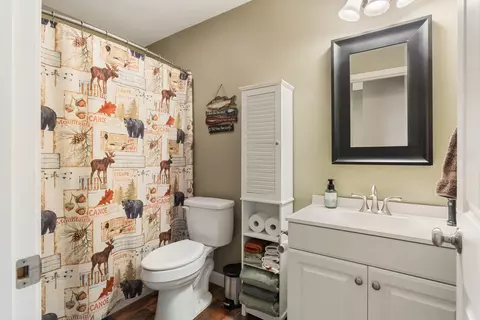Bath - 7739 Lakewood Rd, Weldon, IL 61882 photo 4 of 4