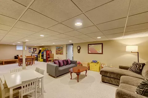 Living - 213 Miller St, Beecher, IL 60401 photo 6 of 7
