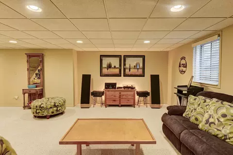 Living - 213 Miller St, Beecher, IL 60401 photo 7 of 7