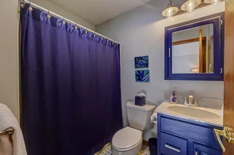 Bath - 213 Miller St, Beecher, IL 60401 photo 5 of 7