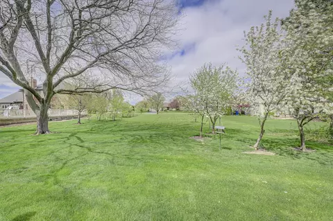 View/Area - 213 Miller St, Beecher, IL 60401 photo 1 of 1