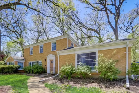 621 Van St, Elgin, IL 60123 photo 3