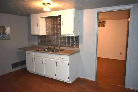 Kitchen - 1004 12 S Adelaide St, Normal, IL 61761 photo 4 of 4