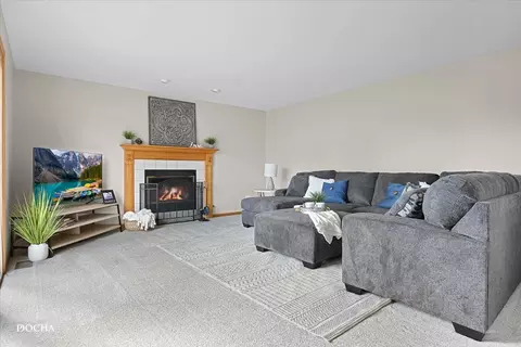 Living - 25012 Vermette Rd, Plainfield, IL 60585 photo 3 of 4