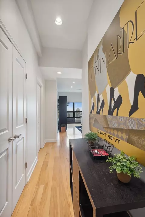 Entry Way - 30 E Huron St #5601, Chicago, IL 60611 photo 1 of 1