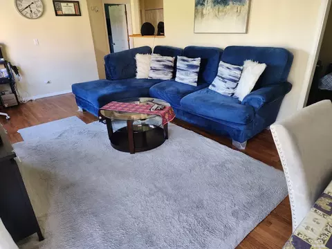 Living - 9460 Dee Rd #1B, Des Plaines, IL 60016 photo 2 of 4