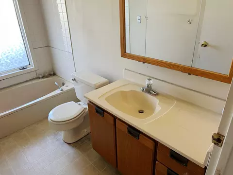 Bath - 3413 E Bemes Rd, Crete, IL 60417 photo 3 of 4