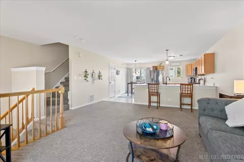 Living - 483 E Willow St, Elburn, IL 60119 photo 1 of 4