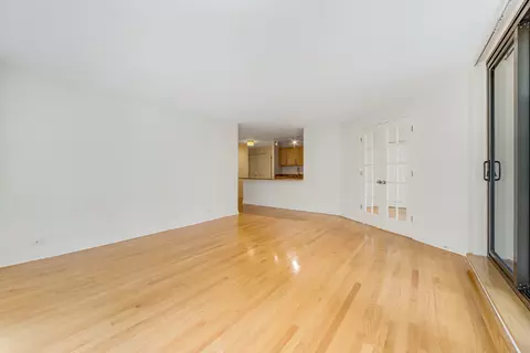Living - 222 E Pearson St #301, Chicago, IL 60611 photo 3 of 3