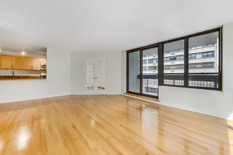 Living - 222 E Pearson St #301, Chicago, IL 60611 photo 2 of 3