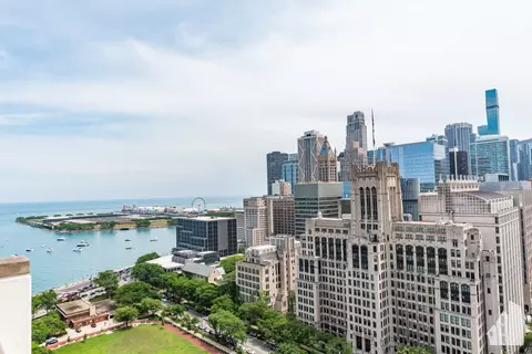 View/Area - 222 E Pearson St #301, Chicago, IL 60611 photo 2 of 2