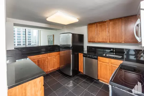 Kitchen - 222 E Pearson St #301, Chicago, IL 60611 photo 3 of 3