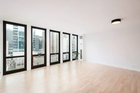 1 E Scott St #905, Chicago, IL 60610 photo 5