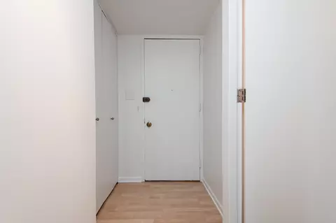 1 E Scott St #905, Chicago, IL 60610 photo 22