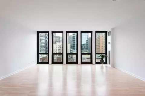 1 E Scott St #905, Chicago, IL 60610 photo 4