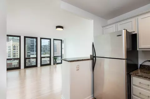 1 E Scott St #905, Chicago, IL 60610 photo 11