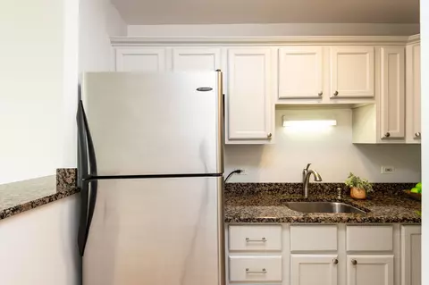 1 E Scott St #905, Chicago, IL 60610 photo 15