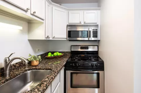 1 E Scott St #905, Chicago, IL 60610 photo 14