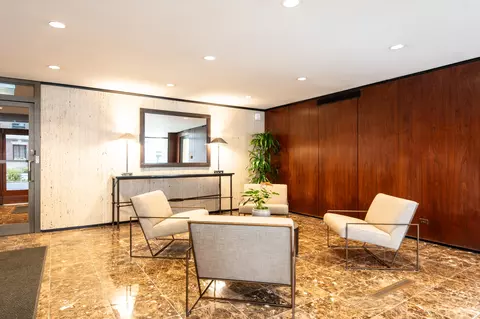 1 E Scott St #905, Chicago, IL 60610 photo 25
