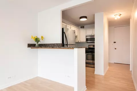 1 E Scott St #905, Chicago, IL 60610 photo 10