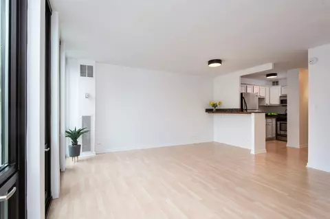 1 E Scott St #905, Chicago, IL 60610 photo 8