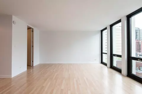 1 E Scott St #905, Chicago, IL 60610 photo 6