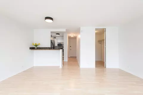 1 E Scott St #905, Chicago, IL 60610 photo 9