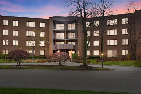 263 S Clubhouse Dr #214, Palatine, IL 60074