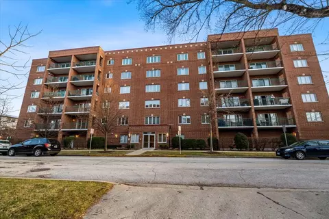 1325 Perry St #201, Des Plaines, IL 60016 photo 2