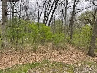 0 Williams Huntley Ln, Crete, IL 60417