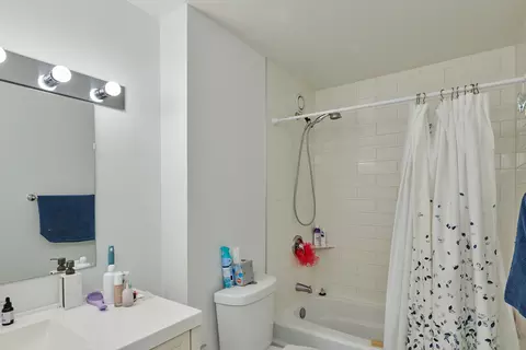 Bath - 211 E Ohio St #1014, Chicago, IL 60611 photo 1 of 2