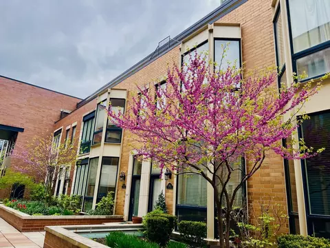 309 N Union Ave #D, Chicago, IL 60661